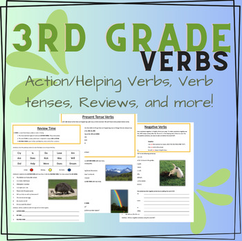 Preview of 3rd Grade- Types of Verbs- Worksheets, Assessments, and More!