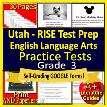 Preview of 3rd Grade Utah RISE ELA Test Prep: Print + SELF-GRADING GOOGLE FORM QUIZZES!