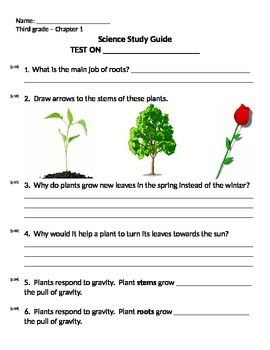 3rd grade ng life science plants ch 1 study guide review word