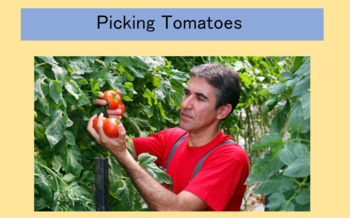 Preview of 3rd grade "Picking Tomatoes" Task