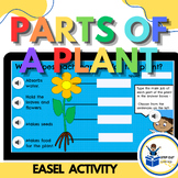 3rd grade Science Parts of a plant + what a plant needs to