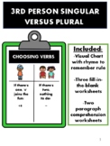 3rd Person Verbs: Singular versus Plural Subject/Verb Agre