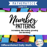 Patterning: Differentiated Daily Math for Ontario 3-6