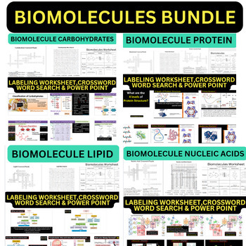 Preview of 4 Biomolecules Bundle-Carbohydrate, Protein, Nucleic Acid & Lipid Worksheet &PPT