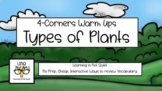 4-Corners Types of Plants (Flowering, Moss, Fern, Conifer) Easy, No-Prep