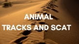 4-H Wildlife Judging Track and Scat