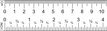 Preview of 4 Inch Transparent ruler