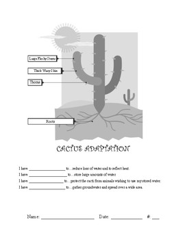 4 Ls1 A Animal Plant Adaptation Worksheet Answer Keys By Ps Iteach