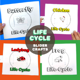 4 Life Cycle Sliders - Butterfly, Frog, Ladybug and Chicke
