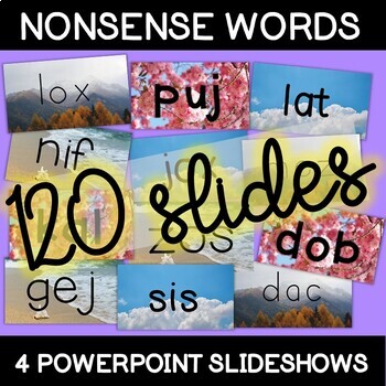 Preview of 4 Nonsense Word PowerPoints