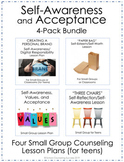 4-Pack BUNDLE!  Self-Awareness & Acceptance Small Group Co