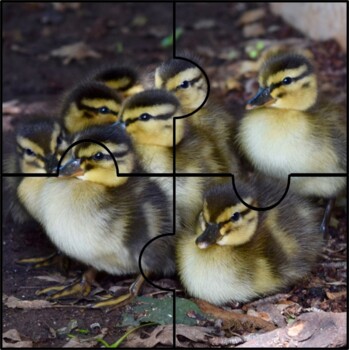 Preview of 4 Piece Jigsaw Puzzle-Ducklings