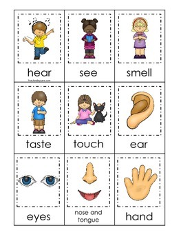 4 Printable Learn the 5 Senses Matching Preschool Learning Games.
