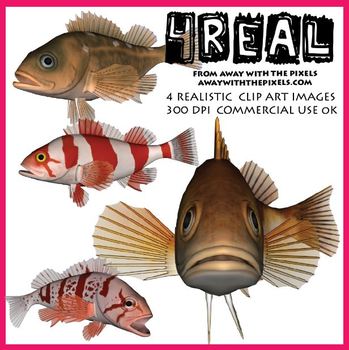 4 Real! 4 Realistic Fish Clip Art Images from Away With The Pixels