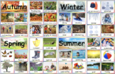 4 Seasons, Weather, Reggio  (Winter, Spring, Summer Fall)