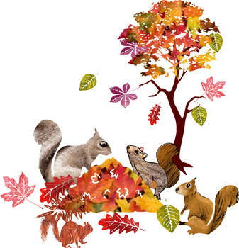 Preview of 4 Squirrels in Autumn