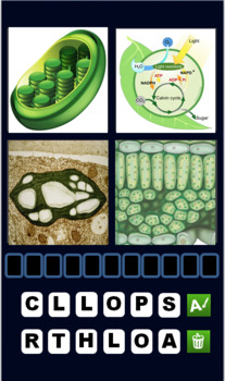 Preview of 4 pics 1 word CHLOROPLAST