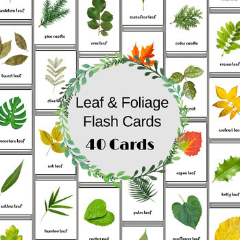 Preview of 40 Leaf & Foliage Printable Flash Cards, Learn Foliage Vocabulary