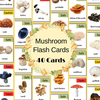 Preview of 40 Mushroom Flash Card, Safe & Dangerous Fungi Species Identification