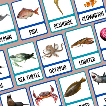 Preview of 40 OCEAN ANIMALS Montessori  Flashcards: Real Images Edition