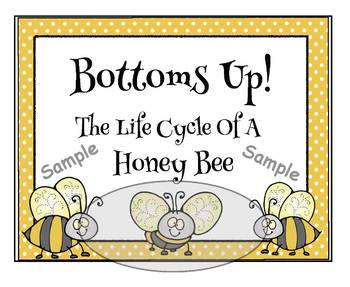 Bee Life Cycle Flip Book - Simple Living. Creative Learning