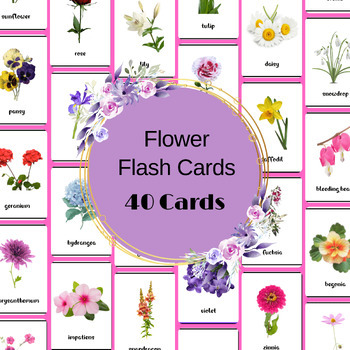 Preview of 40 Real Flower Flash Cards, Flora Nomenclature Cards