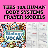 40 Terms! TEKS 10A Human Body Systems Vocabulary Activity 