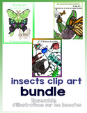 50 clip art about insects BUNDLE
