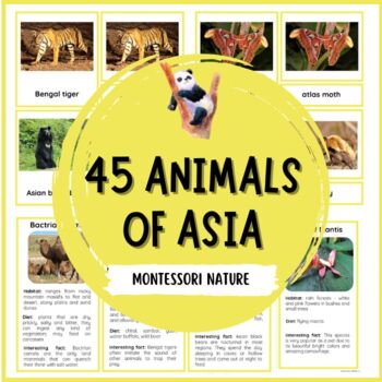 Preview of 45 Animals Of Asia – Montessori Nomenclature And Information Cards