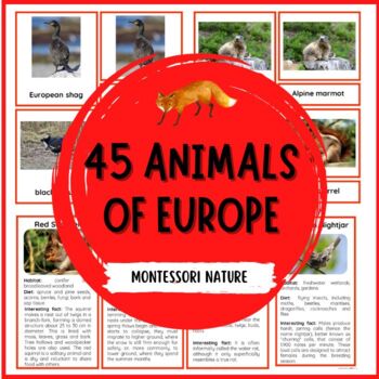 45 Animals Of Europe – Montessori Nomenclature And Information Cards