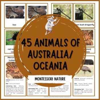 Preview of 45 Animals of Australia and Oceania - Nomenclature and Information Cards