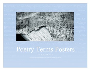 Preview of 48 Poetry Vocabulary Posters