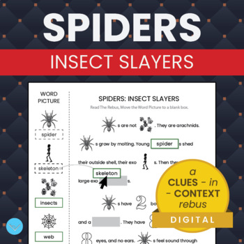 Preview of Spiders - Insect Slayers - CLUES-in-CONTEXT Rebus - SimpleLitRebus