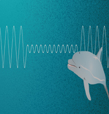 4th Grade Amplify Waves, Energy, & Information Unit 4: Cha