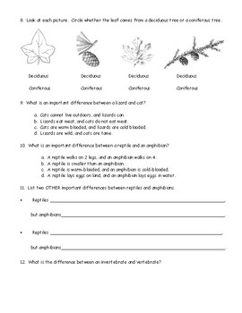 4th Grade Animal and Plant Classification Test by Wendy Wakefield