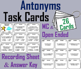 Antonyms Task Cards Literacy (Academic Vocabulary Activity)