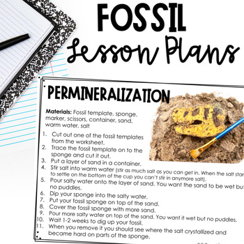 Preview of 4th Grade Earth History Lesson Plans - NC Science Standards 4.E.2