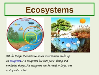 4th Grade Ecosystems Power Point Presentation by mrshenryteachergirl