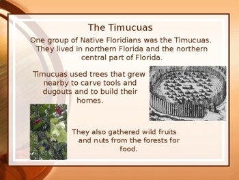 Preview of 4th Grade History Gr 4 First Settlers in North Florida Timucua Apalachees FL SS