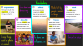 4th Grade Journeys Lesson 15 "Ecology for Kids" Google Slides