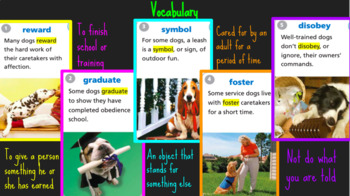 Preview of 4th Grade Journeys Lesson 17 "The Right Dog for the Job" Google Slides