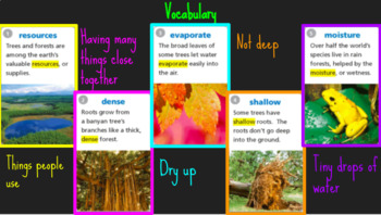 Preview of 4th Grade Journeys Lesson 23 "The Ever-Living Tree" Google Slides