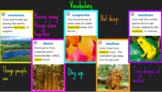 4th Grade Journeys Lesson 23 "The Ever-Living Tree" Google Slides