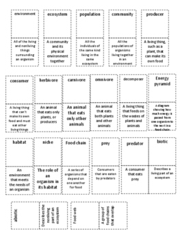 4th Grade Life Science Vocabulary Packet with Quizzes | TPT