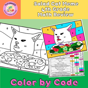 Preview of 4th Grade Math Review | Salad Cat Meme Color by Code Coloring Worksheet