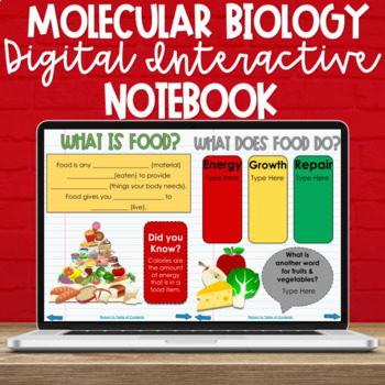Preview of 4th Grade Molecular Biology Digital Interactive Notebook- NC Science 4.L.2
