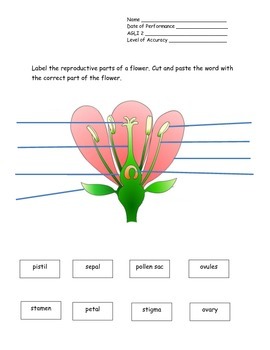 Preview of 4th Grade New York Alternative Assessment Science AGLI 2 - Plant Reproduction