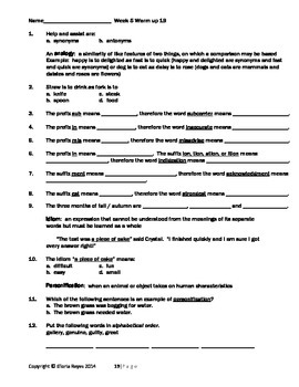 4th Grade STAAR Reading: Warming Up to STAAR Reading by Reading Guru