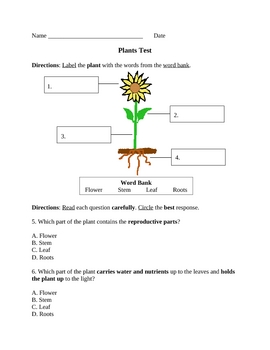 4th grade science plants test and study guide by paula jett tpt