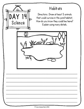 4th grade summer review packet by miss rosenthal tpt